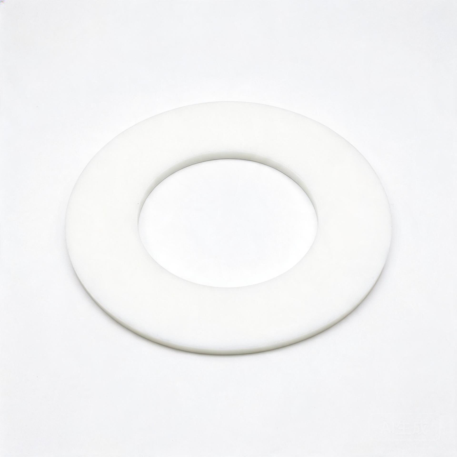 PTFE Gasket